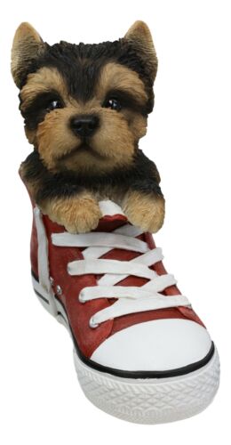 Paw-star Pups Lifelike Yorkie Yorkshire Terrier Puppy Dog In Sneaker Shoe Statue