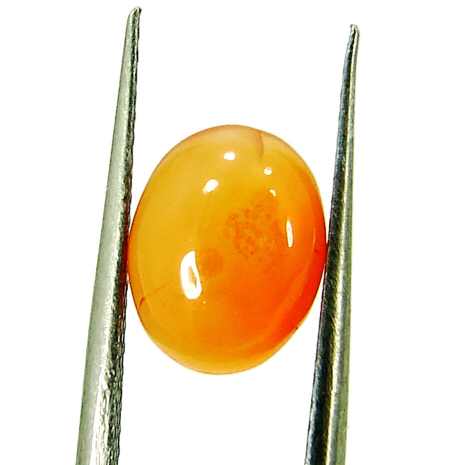 1.55 Ct Natural Orange Carnelian Loose Gemstone Oval Cabochon Cab Stone - 5987