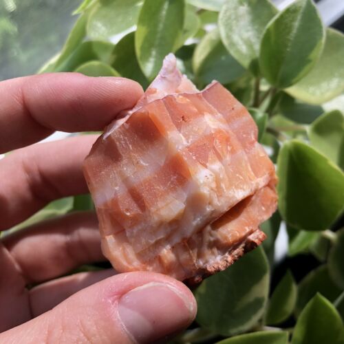 Raw Natural Unique Layered Carnelian Crystal Stone 2”